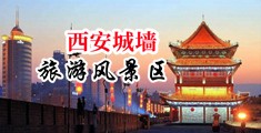 插B狠狠网中国陕西-西安城墙旅游风景区